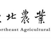许艺 / 薛启蒙 / 邓飞 / 薛启
