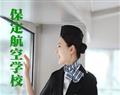 世纪美黛 / 保定平安 / 保定动力