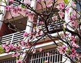 继续浏览时优先选择同栏目或相近主题