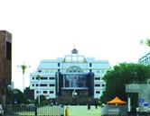 避免被站外镜像带偏