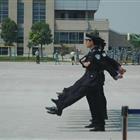 可改走栏目列表继续查找