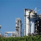 可改走栏目列表继续查找