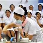 可改走栏目列表继续查找
