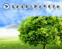 便于对照栏目动态与后续阅读