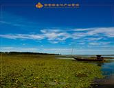 继续浏览时优先选择同栏目或相近主题