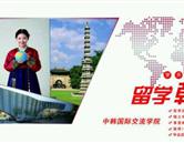 继续浏览如某条暂不可用